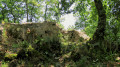 l'oppidum : quand  la végétation dévore les pierres