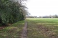 Promenade dans les bois de Pontchâteau