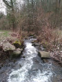 L'Orzon