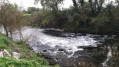 L'Ouche " Rivière"
