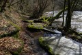 L'Ourthe