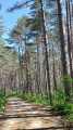 Croix de Baussels, forêt de l'Usclade depuis Lamalou-les-Bains
