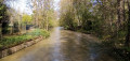 De Boissy à Brunoy par la forêt de la Grange et les rives de l'Yerres