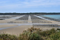 Baie de la Fresnaye vers Saint-Cast