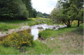 La Baraque Vieille La Baraque Vieille