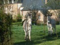 La Baronnie