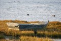 La barque