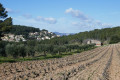 La bastide de la Nartette au milieu de ses vignes