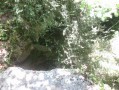 La Baume du Bois