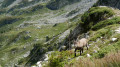 Boucle des Grands Moulins par le Col et le Refuge de la Perrière