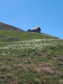 La bergerie de l'Alp