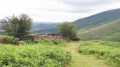 La bergerie