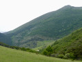 la bergerie
