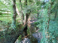 La Blaise naissante