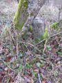 La borne 25