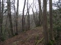 la borne du saut du cheval