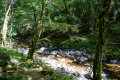 La Bouble