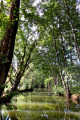 Circuit de Velles : la Bouzanne et son théâtre de verdure