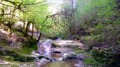 Les gorges de la Brême