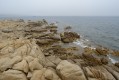 La Bretagne en Méditerranée