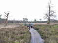 Petite balade familiale autour du petit étang de Mosterdveen