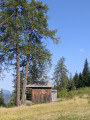 La cabane au fond du jardin