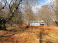 la cabane de Binos