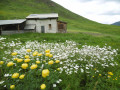 La cabane de clapouse