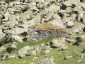 Au-dessus de Barèges, le Col de Tracens