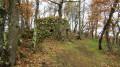 La cabane des Fans