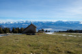 La cabane du berger