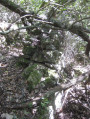 The charcoal burner&rsquo;s hut &ndash; point 3