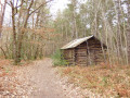 La cabane en rondins de bois