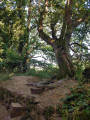 La cache de Cadoudal