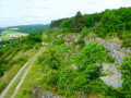 La Calestienne à la Montagne de la Carrière (Vaucelles)
