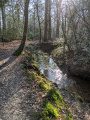 La Caleuvre