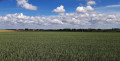 La campagne autour de Villers-Pol