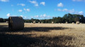 La campagne en sortie de Pleudaniel