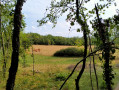 La campagne tranquille