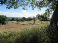 La campagne ?