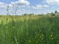 La campagne yvelinoise