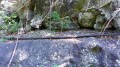 La canalisation