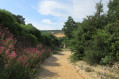 Sur les traces de Manon des sources - le mémorial de Signes Sur les traces de Manon des sources - le mémorial de Signes