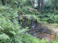 La cascade de Cambourg