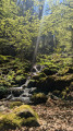 Cascades de l'Andlau et de la Serva et Champ du Feu