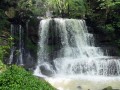 Le belvédère des Feuilles, la cascades du Verneau et le ruisseau de Vau