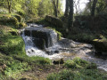 Petite boucle du moulin de Cambourg à Bréhand
