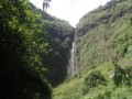 La Ravine du Butor La Ravine du Butor