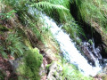 La cascade