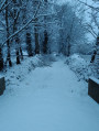 La Cauchie sous la neige